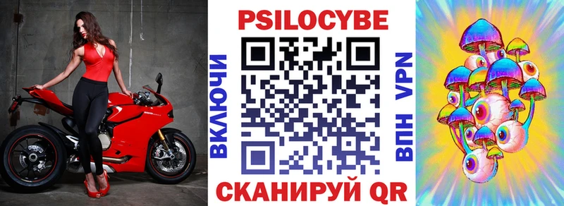 Псилоцибиновые грибы мицелий  где купить наркоту  мега как войти  Черкесск 